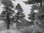Farm Frost